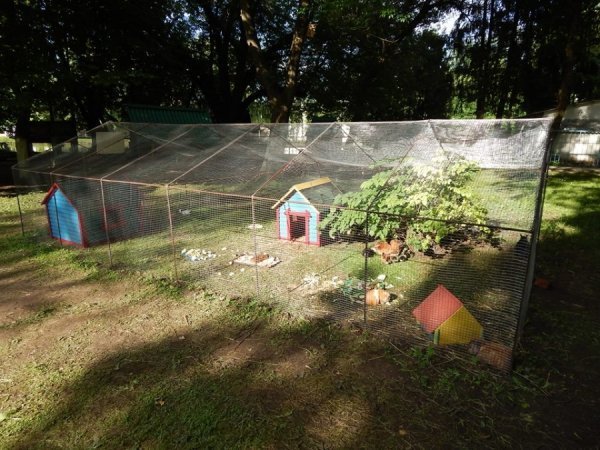 У Луцькому зоопарку звели «Ноєв ковчег». ФОТО