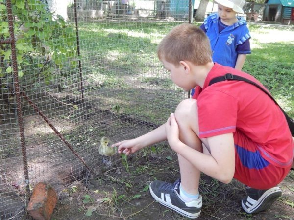У Луцькому зоопарку звели «Ноєв ковчег». ФОТО