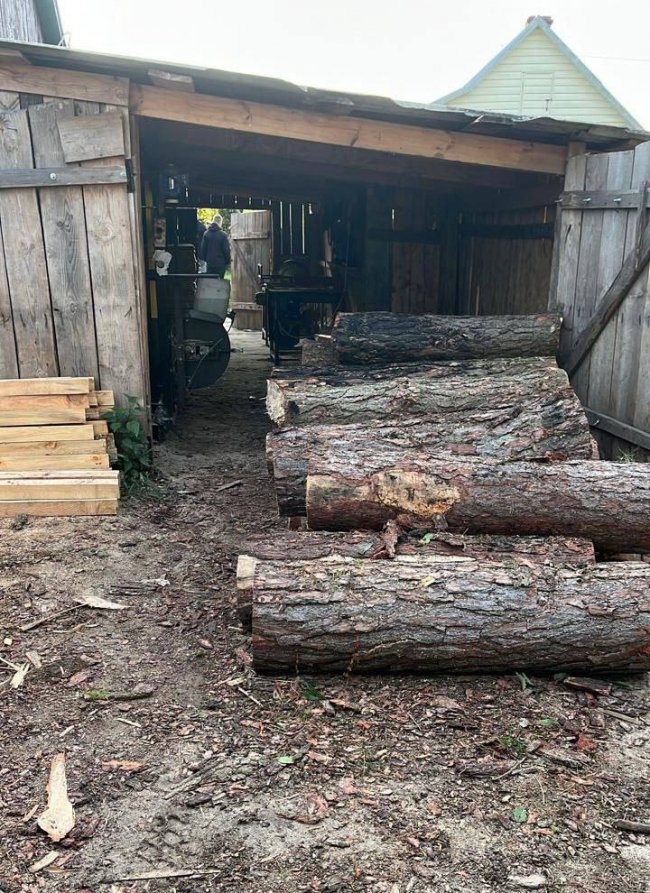 У 27-річного волинянина поліцейські виявили вдома незаконну деревину, зброю та набої