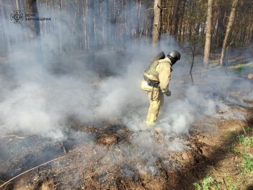 Російський обстріл спричинив масштабну лісову пожежу на Харківщині