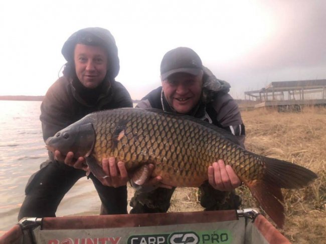 У волинське озеро запустили величезних коропів. ФОТО