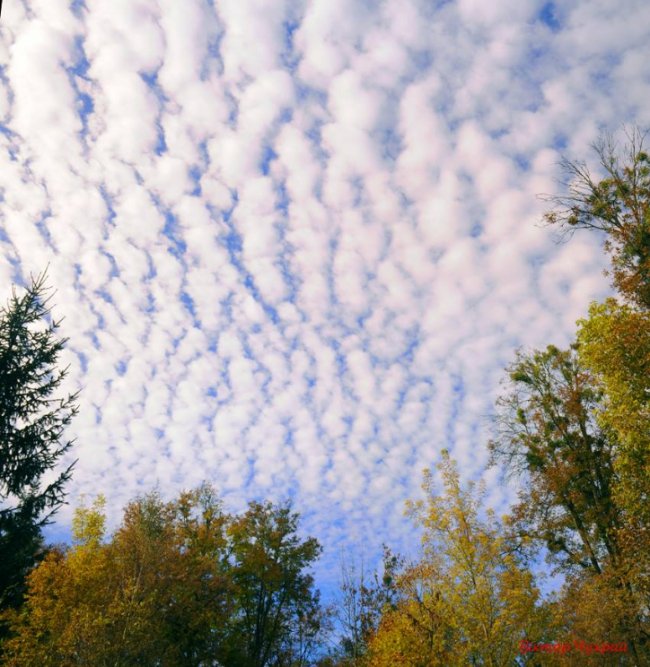 Осіннє небо над Луцьком на світлинах фотографа