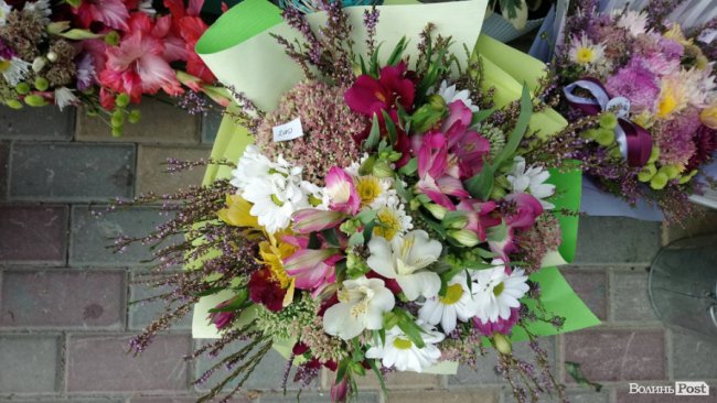 «Квітковий бум» на перший дзвоник: ціни в Луцьку. ФОТО