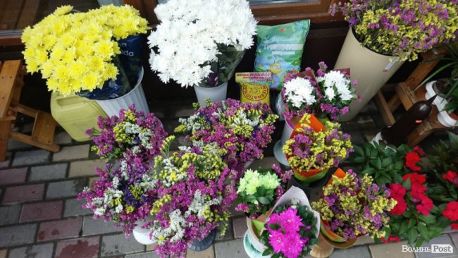 «Квітковий бум» на перший дзвоник: ціни в Луцьку. ФОТО