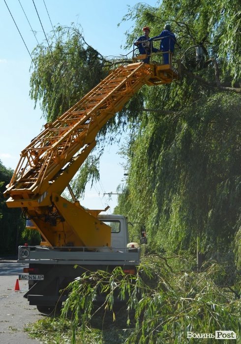 Стихія понищила дерева у Луцьку. ФОТО