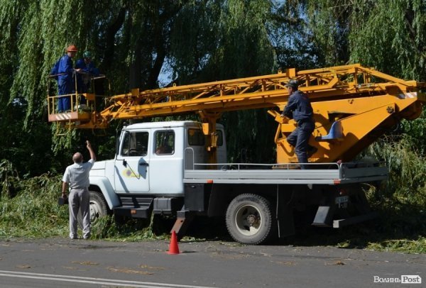 Стихія понищила дерева у Луцьку. ФОТО