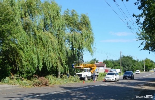 Стихія понищила дерева у Луцьку. ФОТО
