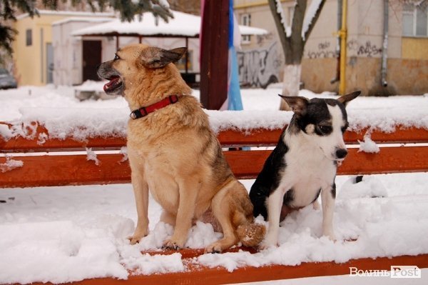 ФОТОРІК-2012. Частина перша