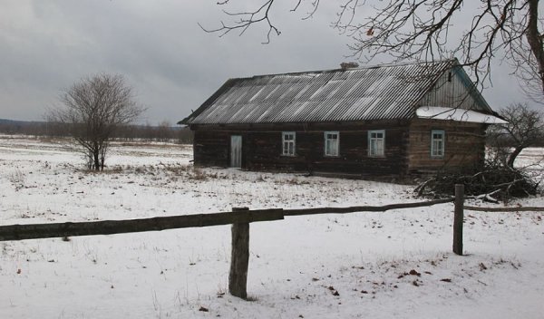 Красиві фото зими у волинському Поліссі 