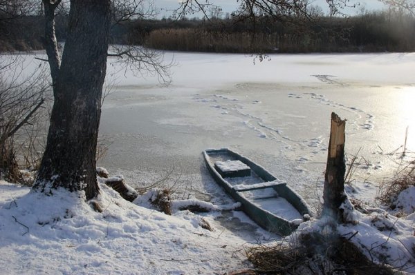 Красиві фото зими у волинському Поліссі 
