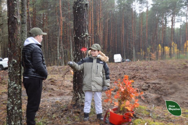 На Волині посадили ліс на честь воїна-лісівника. ФОТО