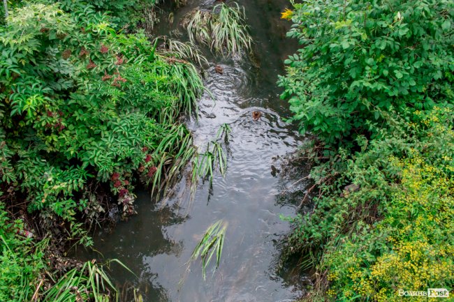 Річка Сапалаївка