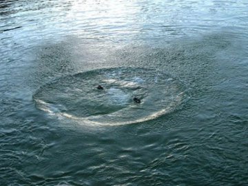 На Волині у власному ставку втопилася літня жінка