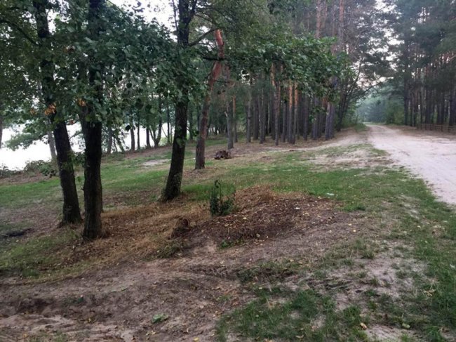 На Волині лісівники прибрали місце відпочинку біля озера, яке закидали сміттям