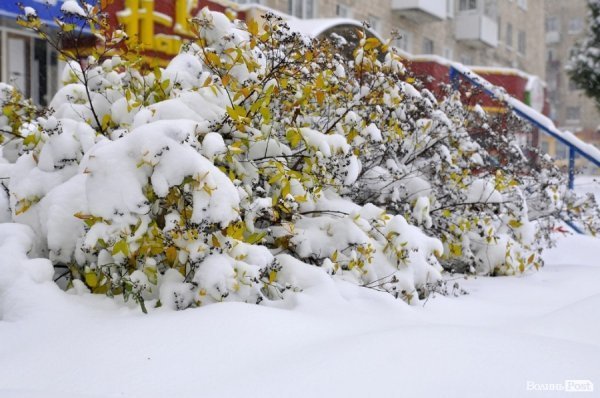 Фото снігу в Луцьку