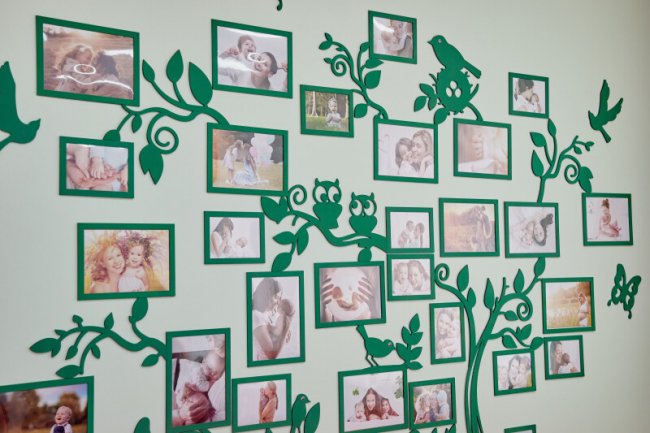 У луцькому пологовому будинку використовують новітню мобільну рентген систему. ФОТО