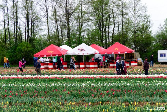 Попри негоду «Волинська Голландія» гостинно зустрічає гостей. ФОТО