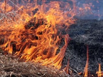 Як на Волині планують боротись з паліями трави