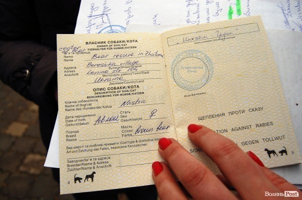 Іноземці забрали ведмежа із луцького зоопарку. ФОТО. ВІДЕО