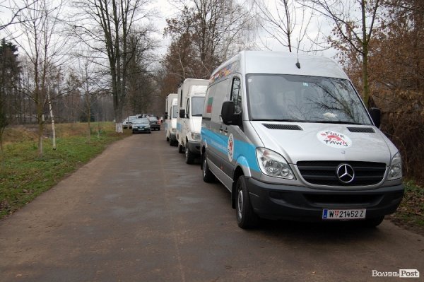 Іноземці забрали ведмежа із луцького зоопарку. ФОТО. ВІДЕО