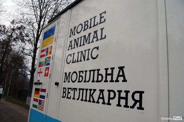 Іноземці забрали ведмежа із луцького зоопарку. ФОТО. ВІДЕО