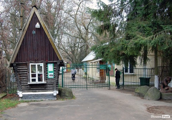 Іноземці забрали ведмежа із луцького зоопарку. ФОТО. ВІДЕО