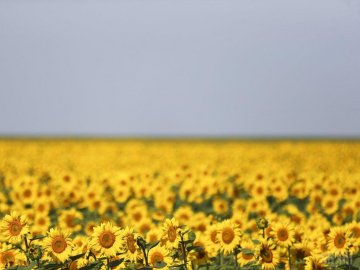 Якою буде погода у перші дні осені