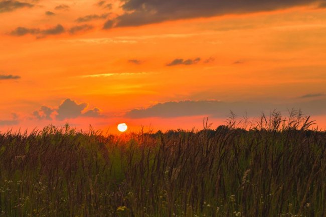 Літній вечір на Волині. ФОТО