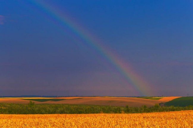 Літній вечір на Волині. ФОТО