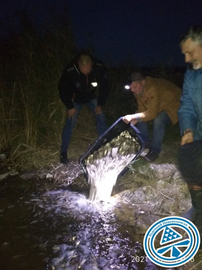300 кг карася випустили нововолинські рибалки у місцеву водойму.ФОТО