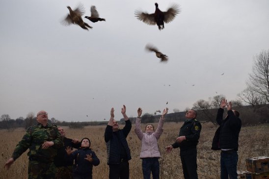 Відкриття мотосезону та фільм про Ігоря Єремеєва. Добрі новини Волині