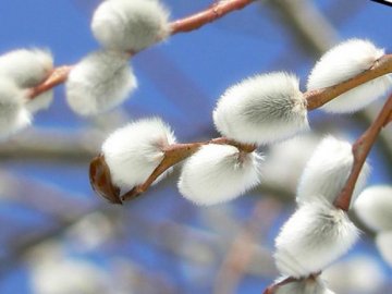 21 лютого – яке сьогодні свято та що не можна робити в цей день