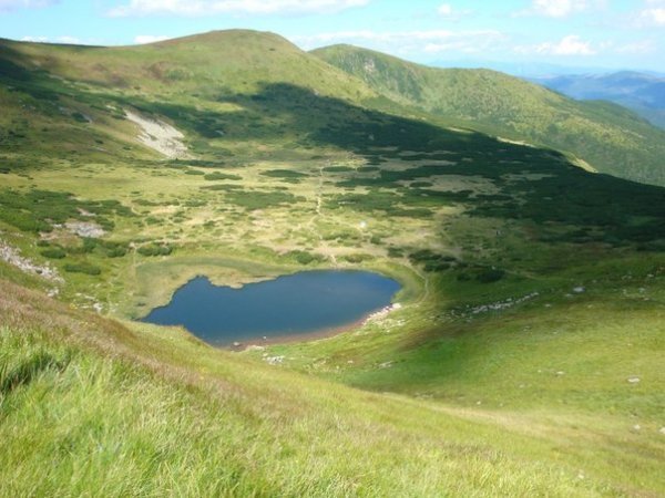 Автор Коля Поліщук