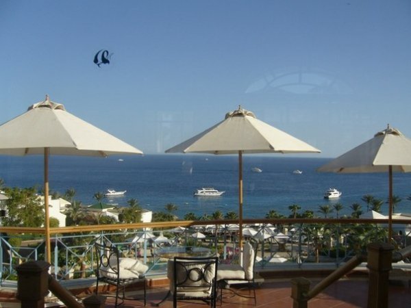 Автор Наталя Тандрик