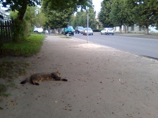 Луцьк: тут ти вдома. Фото: Віталій Поліщук