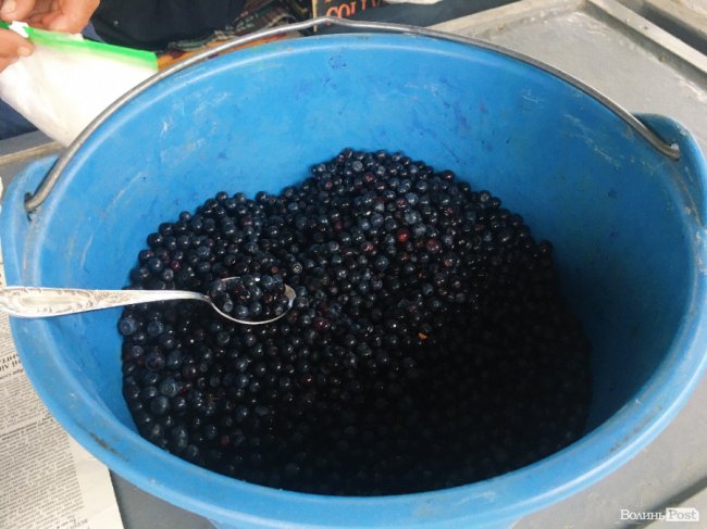 Скільки на ринках Луцька коштує перша чорниця. ФОТО