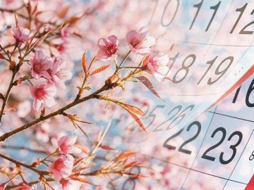 Що чекає на українців в травні: п'ять нововведень, які торкнуться багатьох