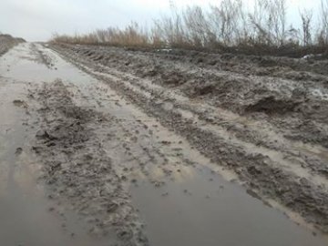Замість дороги - болото: у селі на Волині немає асфальту. ФОТО