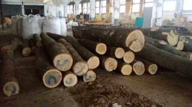 Оборудки з лісом: у волинської фірми вилучили незаконну деревину