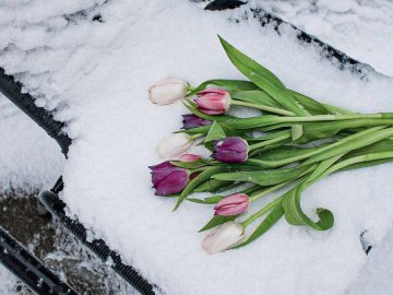 Добрі новини від ВолиньPost за 4 квітня 