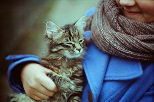 Фотовиставка Надії Міщук