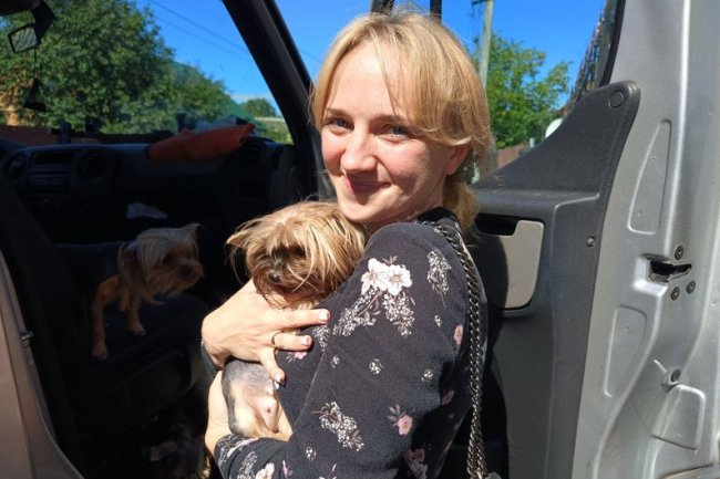 На Волинь з Херсонщини евакуювали 10 псів і кошенят