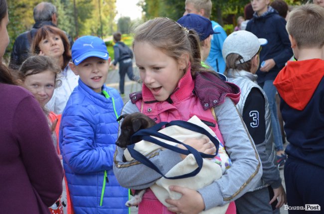 Без призів, але з грамотами: 250 дітей змагалися в луцькому парку. ФОТО