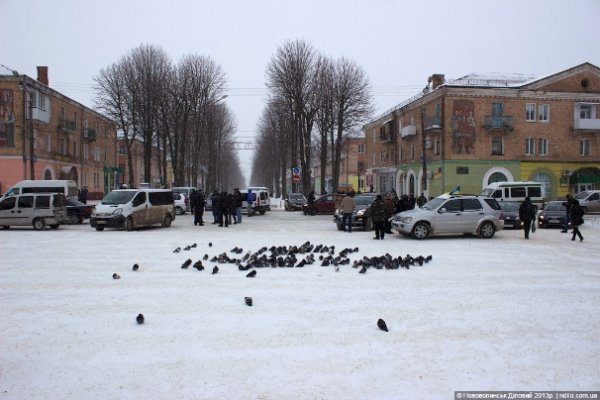 У Нововолинську організували Автомайдан. ВІДЕО