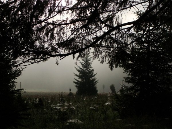 Фотовиставка Валентини Жуги