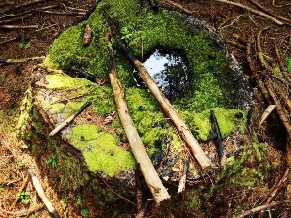 Фотовиставка Валентини Жуги