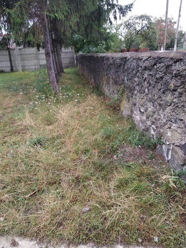 У Маневичах юний активіст самотужки прибрав стадіон. ФОТО