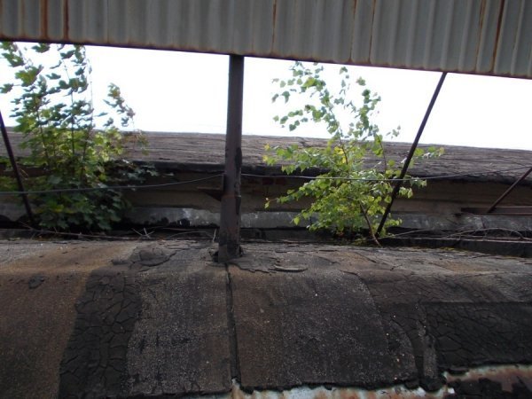 Грибок, корозія і дірявий дах: яким продали кінотеатр «Промінь». ФОТО