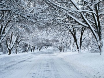 Погода в Луцьку та Волинській області на п’ятницю, 18 січня