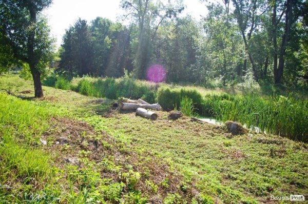 Частина підприємців проігнорувала толоку в луцькому парку. ФОТО